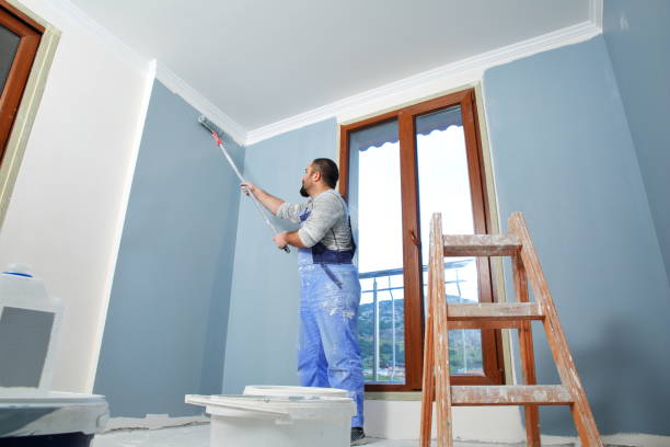 Mold Documentation for Insurance Claims in Blue Ridge, AL