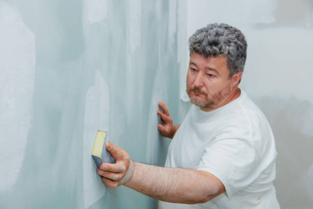 Best Mold Prevention Services  in Blue Ridge, AL