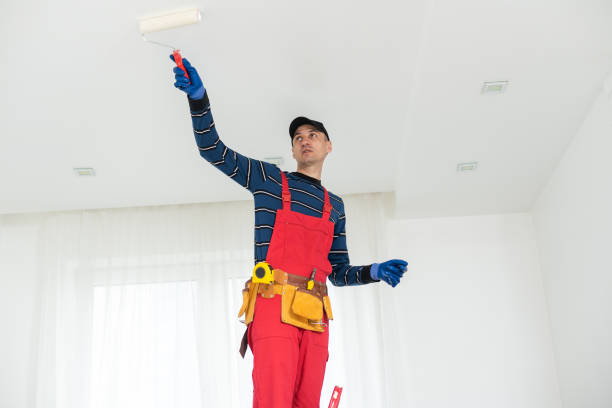 Best Mold Odor Removal Services  in Blue Ridge, AL